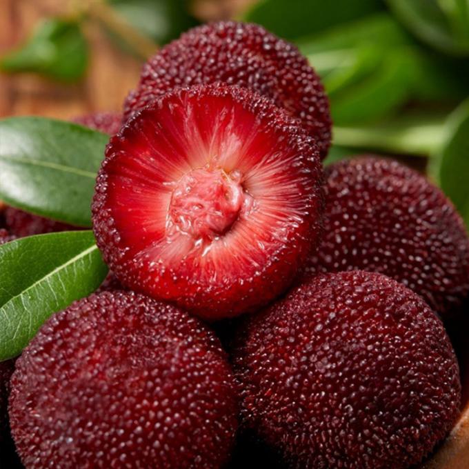 Frozen Fruits IQF Red Round Yangmei Bayberry Factory Price Bulk Frozen Waxberry 2