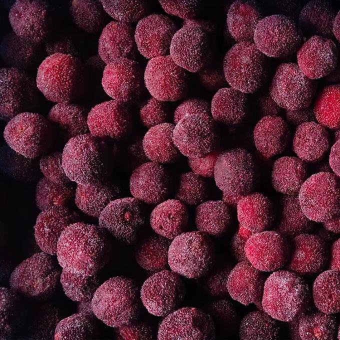 Frozen Fruits IQF Red Round Yangmei Bayberry Factory Price Bulk Frozen Waxberry 5