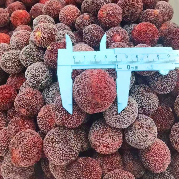 Frozen Fruits IQF Red Round Yangmei Bayberry Factory Price Bulk Frozen Waxberry 7