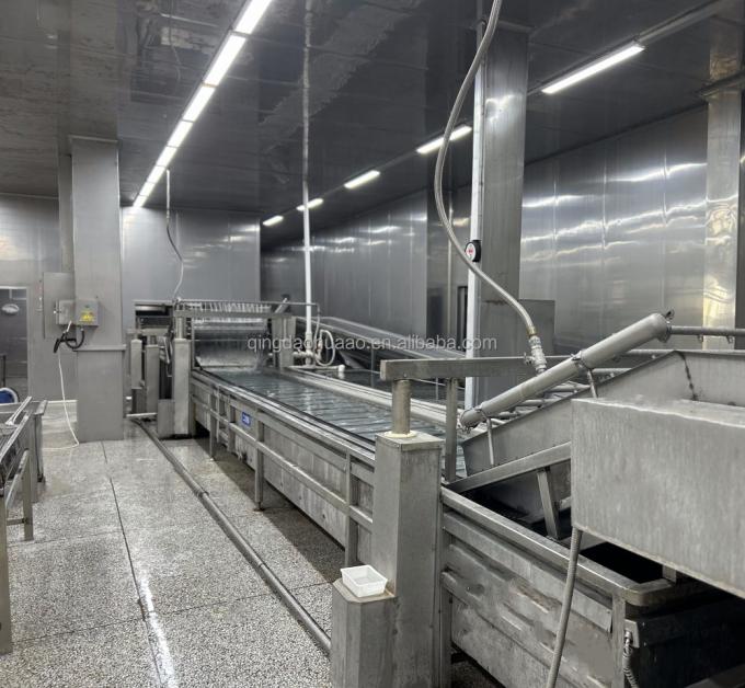 Sinocharm HALAL KOSHER Fresh 4*4mm Chinese IQF Diced Ginger Supplier 1kg Frozen Ginger for Spices 5