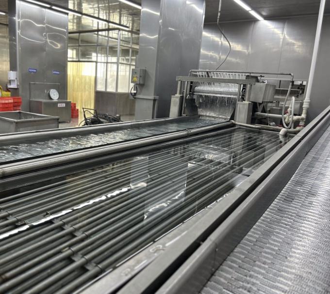 Sinocharm HALAL KOSHER Fresh 4*4mm Chinese IQF Diced Ginger Supplier 1kg Frozen Ginger for Spices 9