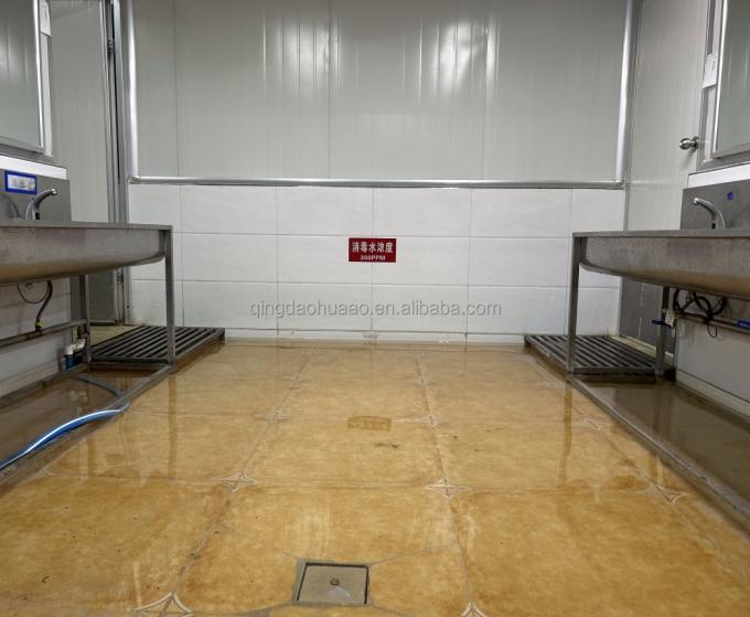 Sinocharm HALAL KOSHER Fresh 4*4mm Chinese IQF Diced Ginger Supplier 1kg Frozen Ginger for Spices 10