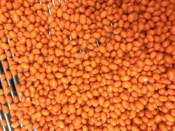 Origin China IQF Fresh Frozen Wild Sea Buckthorn First Class Sea-buckthorn Lingonberry Raspberry, Blueberry Mixed Berries 2