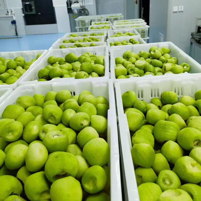 Kiwi Fruit Frozen Fruit Frozen Kiwi Ball Quality Natural 3