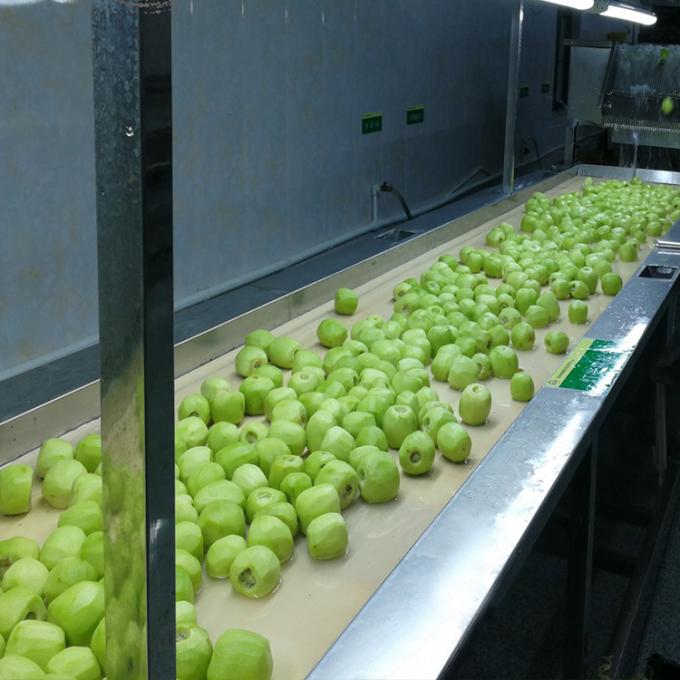 Kiwi Fruit Frozen Fruit Frozen Kiwi Ball Quality Natural 5