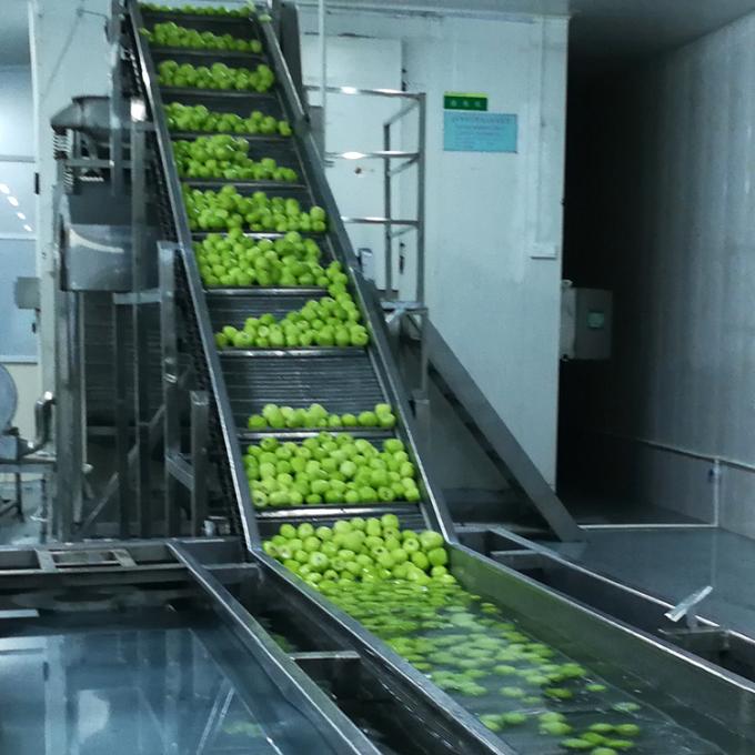 Kiwi Fruit Frozen Fruit Frozen Kiwi Ball Quality Natural 6