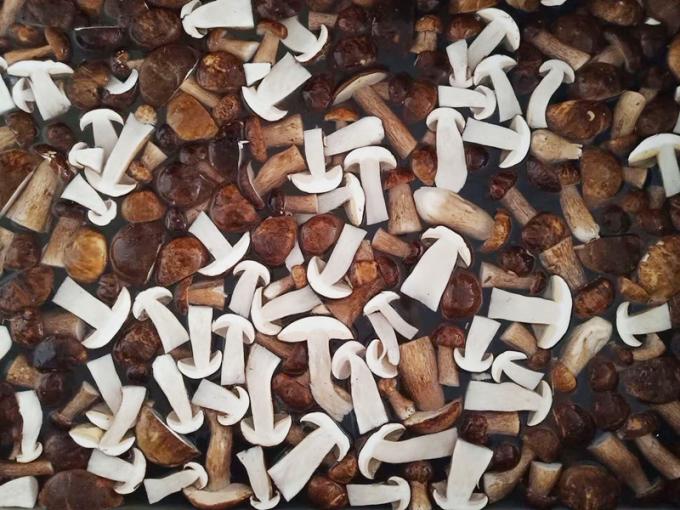 Frozen Mushrooms IQF BOLETUS EDULIS Grade A  24 Months Shelf Life ISO HACCP BRC KOSHER HALAL Certified 10 tons MOQ 0