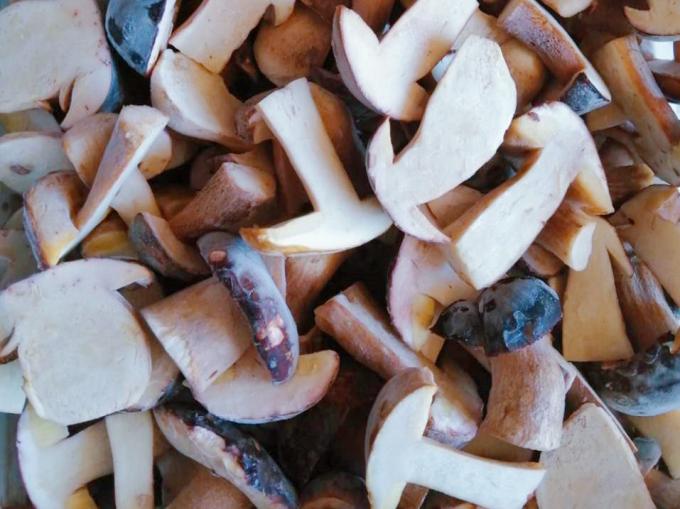 Frozen Mushrooms IQF BOLETUS EDULIS Grade A  24 Months Shelf Life ISO HACCP BRC KOSHER HALAL Certified 10 tons MOQ 1