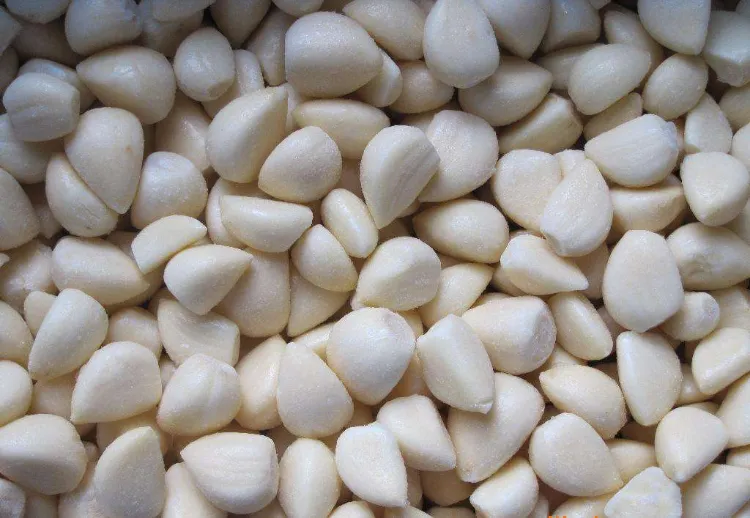 Get the Best Frozen Vegetable Frozen IQF Peeled Garlic Cloves Dices and Puree at Competitive Prices 1