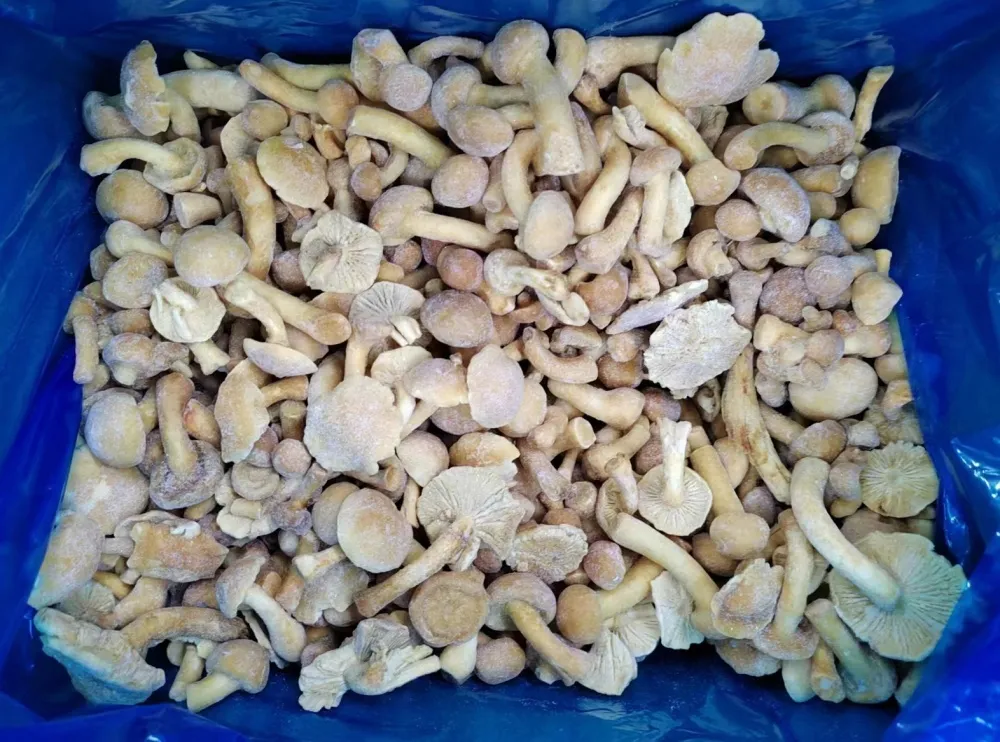 Experience the Convenience and Taste of Frozen Mushrooms from s Top Suppliers 1