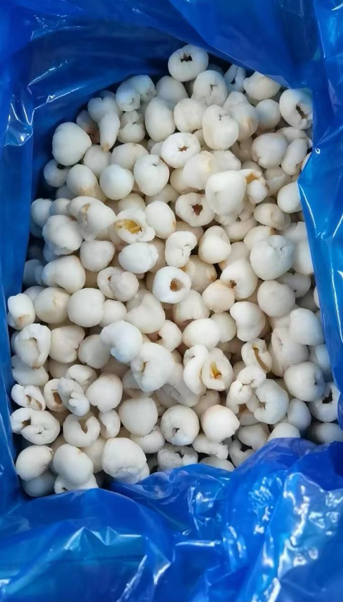 Frozen Whole Peeled Lychee in Bulk Carton Packaging IQF Sweet Tasted Lichee Fruit with Mango Variety of Preserved Fruits 1