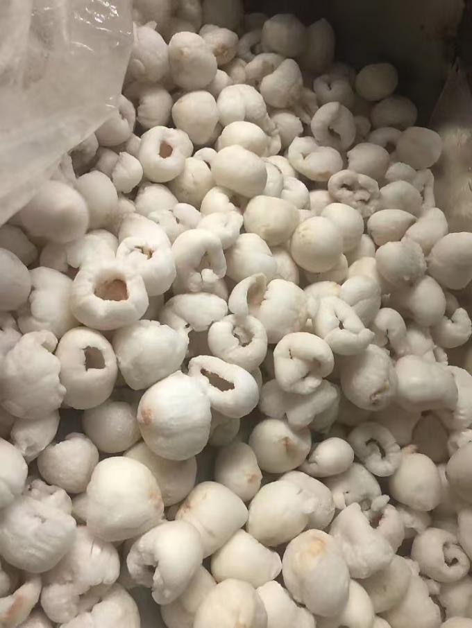 Frozen Whole Peeled Lychee in Bulk Carton Packaging IQF Sweet Tasted Lichee Fruit with Mango Variety of Preserved Fruits 3