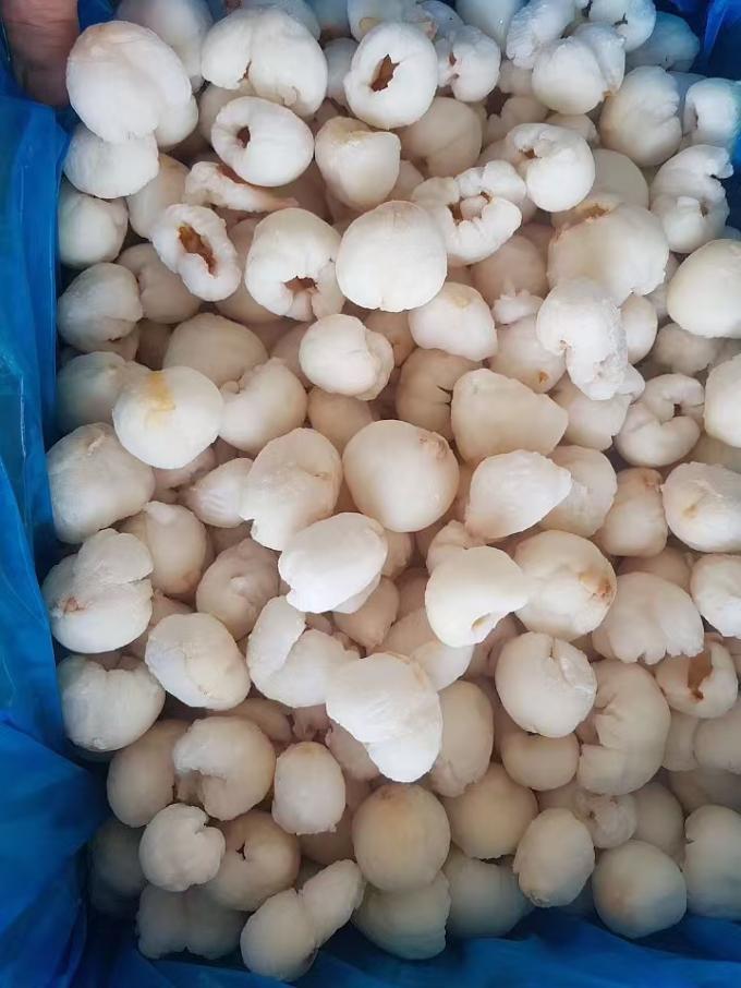 Frozen Whole Peeled Lychee in Bulk Carton Packaging IQF Sweet Tasted Lichee Fruit with Mango Variety of Preserved Fruits 4