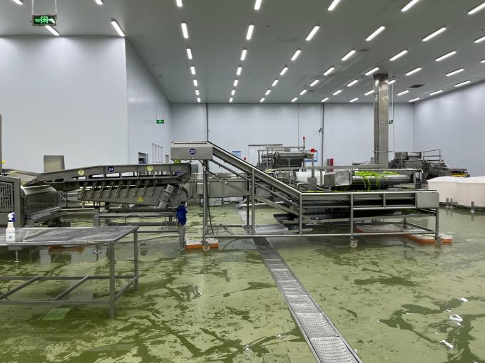 High Quality Fresh Frozen Raspberry Handpicked for Sweet Taste for Juices Desserts Milkshakes 9