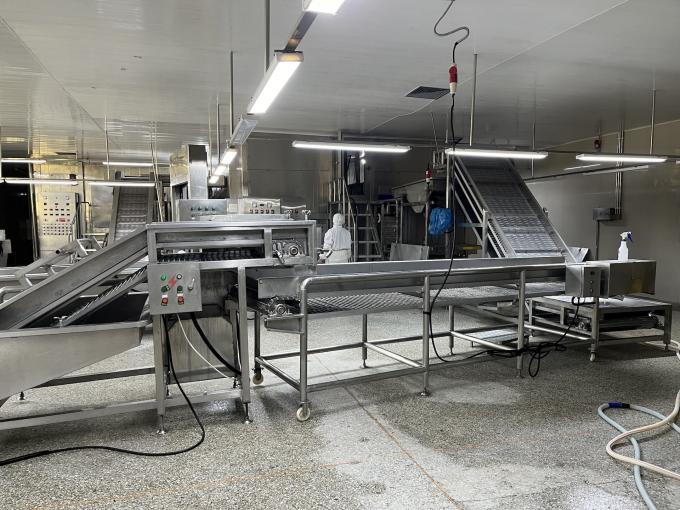 High Quality Fresh Frozen Raspberry Handpicked for Sweet Taste for Juices Desserts Milkshakes 11