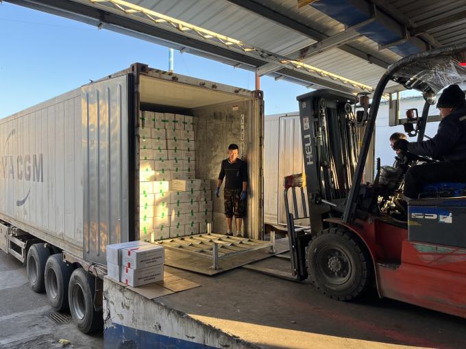 High Quality Fresh Frozen Raspberry Handpicked for Sweet Taste for Juices Desserts Milkshakes 12