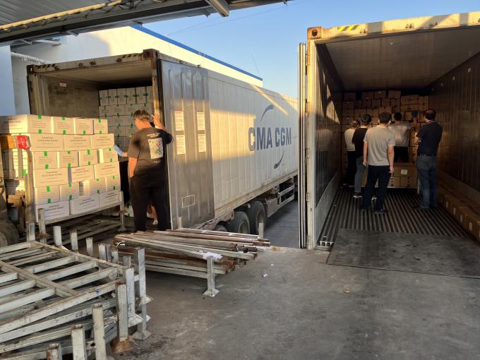 High Quality Fresh Frozen Raspberry Handpicked for Sweet Taste for Juices Desserts Milkshakes 15