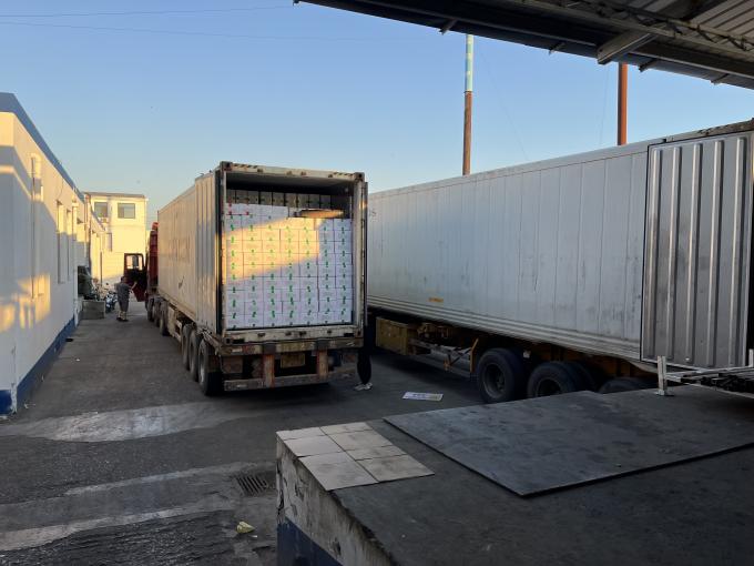 High Quality Fresh Frozen Raspberry Handpicked for Sweet Taste for Juices Desserts Milkshakes 16