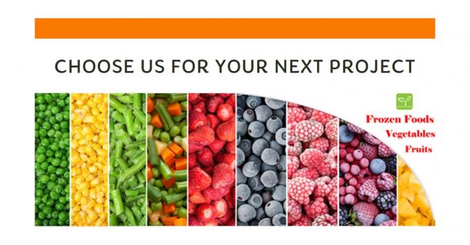 Best High Quality Frozen Oyster Mushroom Wholesale New Crop IQF Oyster Mushrooms Cuts 9