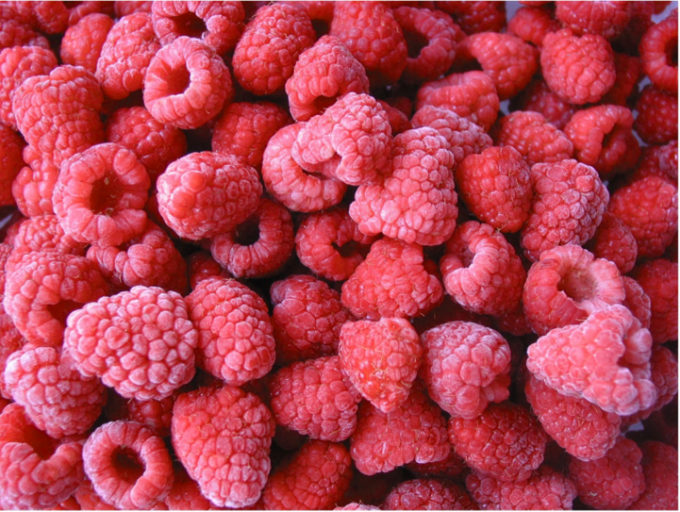 Wholesale IQF Frozen Raspberry Crumble Factory Price Strict Quality Control Good Taste 3