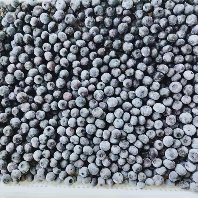 Wholesale Chinese Iqf Frozen Berries IQF Frozen Blueberry for Export with Good Price Blue Berry 0