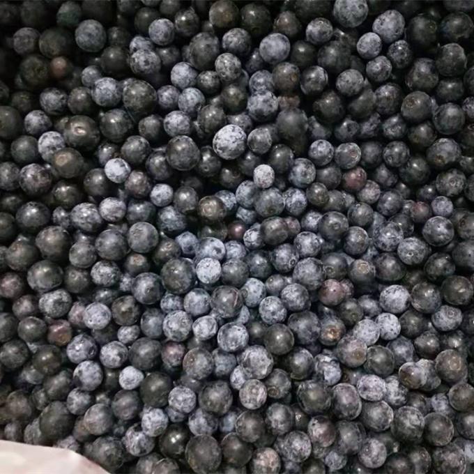 Wholesale Chinese Iqf Frozen Berries IQF Frozen Blueberry for Export with Good Price Blue Berry 2