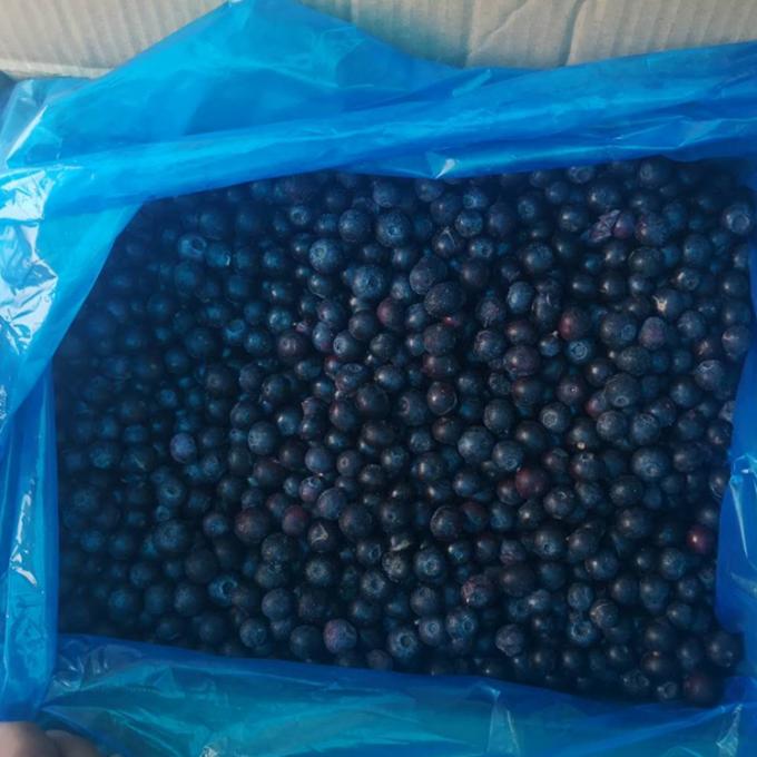 Wholesale Chinese Iqf Frozen Berries IQF Frozen Blueberry for Export with Good Price Blue Berry 3