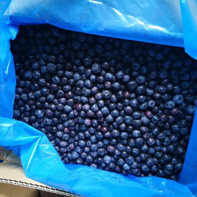 Wholesale Chinese Iqf Frozen Berries IQF Frozen Blueberry for Export with Good Price Blue Berry 4