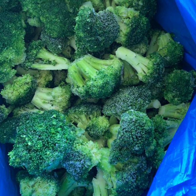 High Quality IQF Frozen Broccoli 20-40mm Premium Vegetable Product 1