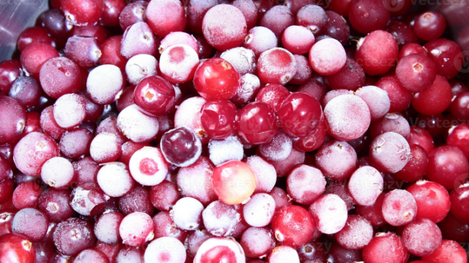 Hot Sell New Crop Iqf Frozen Bulk Red Lingonberry in Frozen Fruits Bulk Packing 0