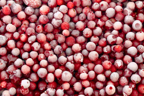Hot Sell New Crop Iqf Frozen Bulk Red Lingonberry in Frozen Fruits Bulk Packing 2