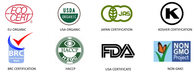 Certified Quality Professional Manufacture IQF Frozen Red Bell Pepper Strips 7