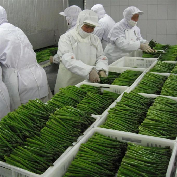 Factory Certified Quality Manufacture IQF Frozen Asparagus 2