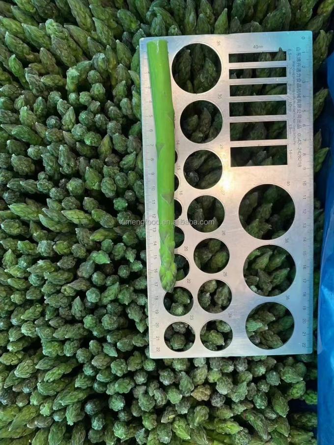 Factory Certified Quality Manufacture IQF Frozen Asparagus 6