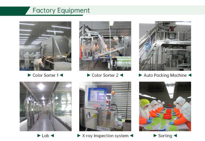 IQF Frozen Mixed Vegetables Fresh Mixed Vegetable 6