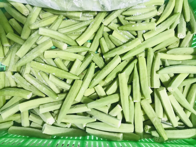 Frozen Lady's Fingers IQF Premium Okra Vegetable Whole and Sliced for Cooking Wholesale Bulk Supplier from Vietnam 0