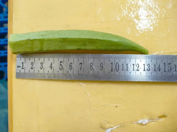 Frozen Lady's Fingers IQF Premium Okra Vegetable Whole and Sliced for Cooking Wholesale Bulk Supplier from Vietnam 2