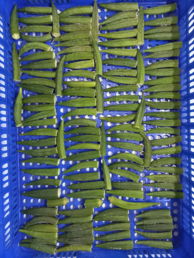 Frozen Lady's Fingers IQF Premium Okra Vegetable Whole and Sliced for Cooking Wholesale Bulk Supplier from Vietnam 3