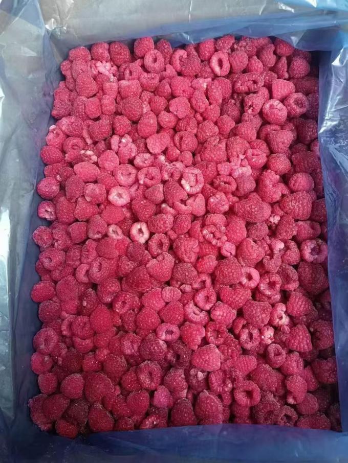 High Quality Fresh Frozen Raspberry Handpicked for Sweet Taste for Juices Desserts Milkshakes 0