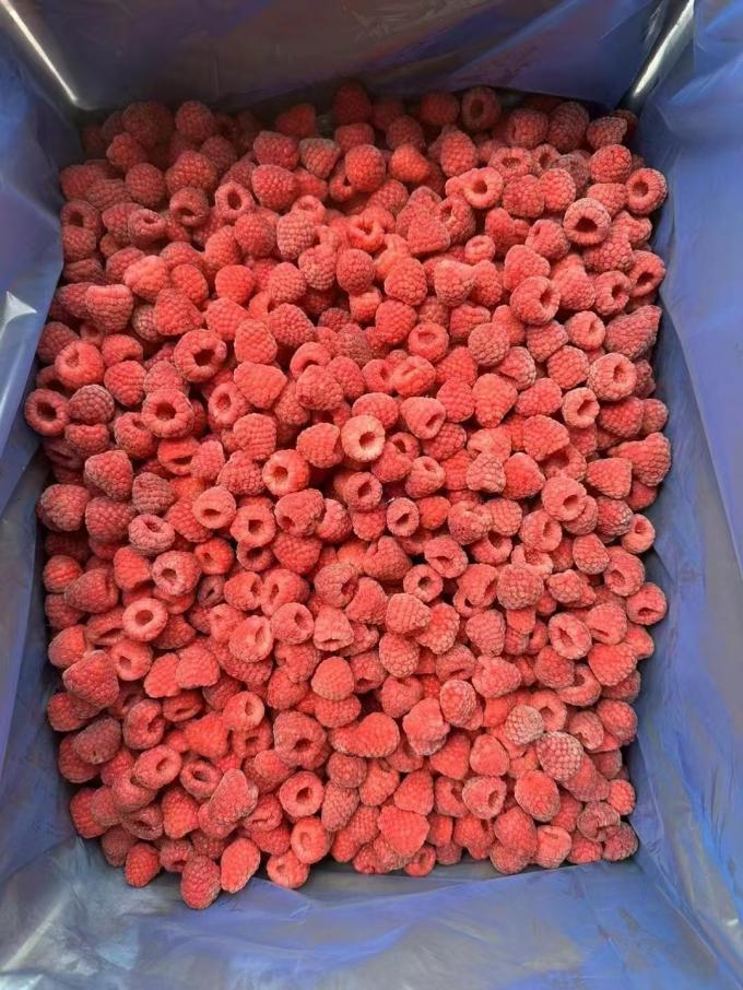 High Quality Fresh Frozen Raspberry Handpicked for Sweet Taste for Juices Desserts Milkshakes 1