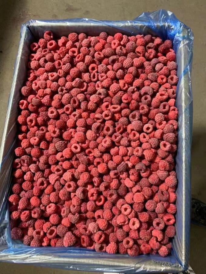 High Quality Fresh Frozen Raspberry Handpicked for Sweet Taste for Juices Desserts Milkshakes 2