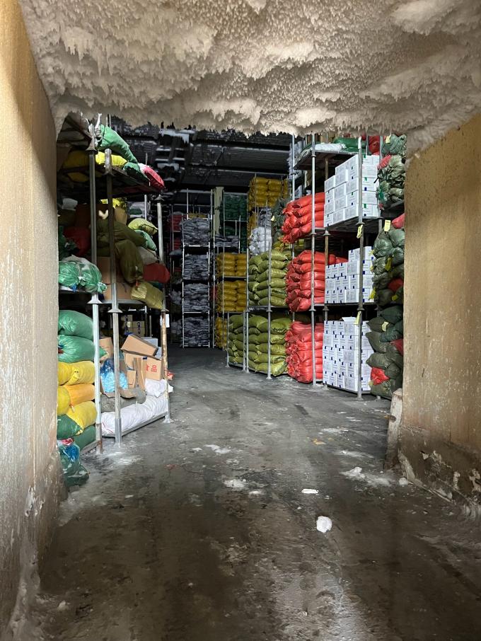 High Quality Fresh Frozen Raspberry Handpicked for Sweet Taste for Juices Desserts Milkshakes 6