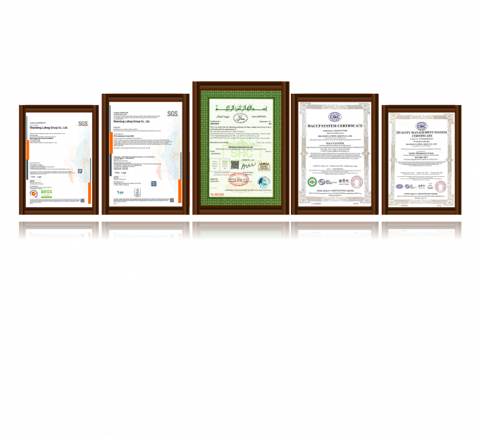 High Quality Frozen Boneless Chicken Breast Export Ready In Bulk Packaging 3