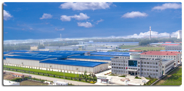 High Quality Frozen Boneless Chicken Breast Export Ready In Bulk Packaging 4