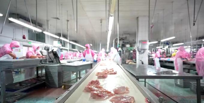 High Quality Frozen Boneless Chicken Breast Export Ready In Bulk Packaging 6