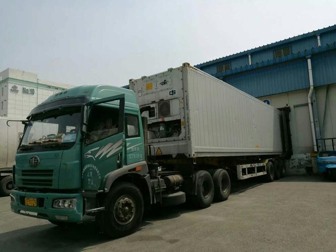 High Quality Frozen Boneless Chicken Breast Export Ready In Bulk Packaging 10