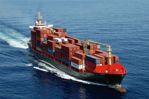 High Quality Frozen Boneless Chicken Breast Export Ready In Bulk Packaging 11